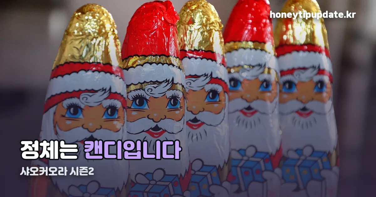 샤오커오라 시즌2 정리 썸네일