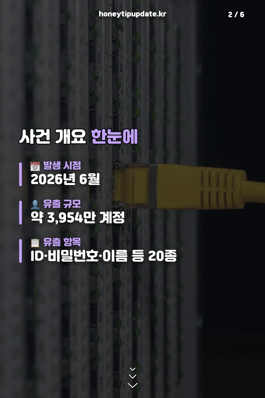사건 개요 정리