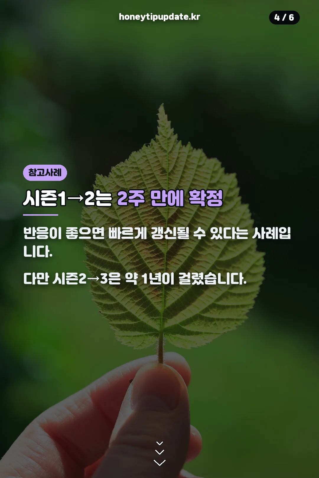 시즌1→2 2주 만에 확정