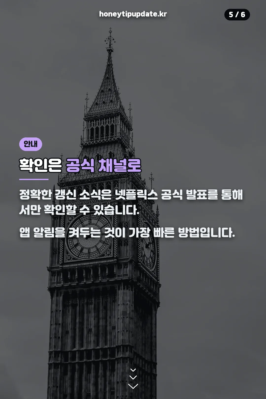 확인은 공식 채널로