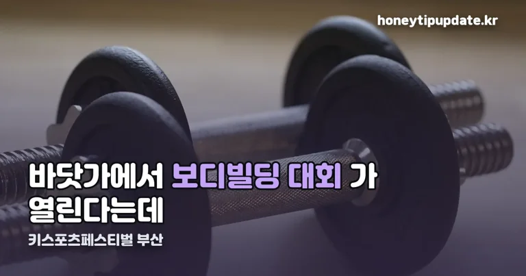 피아크와 함께하는 키스포츠페스티벌 부산 정리 썸네일